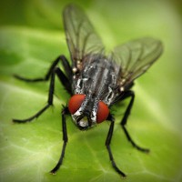 /album/fincatsbd/photolia-a01-jpg/