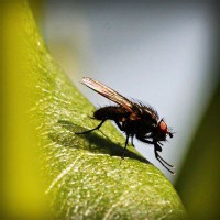 /album/fincatsbd/photolia-a04-jpg/