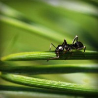 /album/fincatsbd/photolia-a05-jpg/