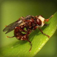 /album/fincatsbd/photolia-a06-jpg/