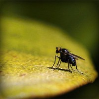 /album/fincatsbd/photolia-a07-jpg/